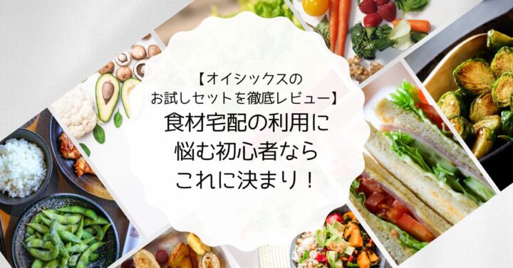 【オイシックスのお試しセットを徹底レビュー】食材宅配の利用に悩む初心者ならコレに決まり！